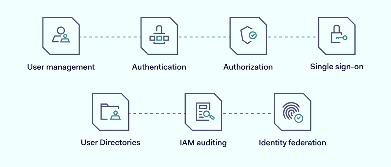 IAM strategy steps